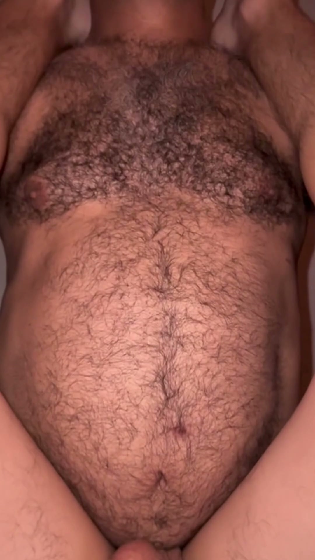 What would you say if this hairy daddy wants to breed you?