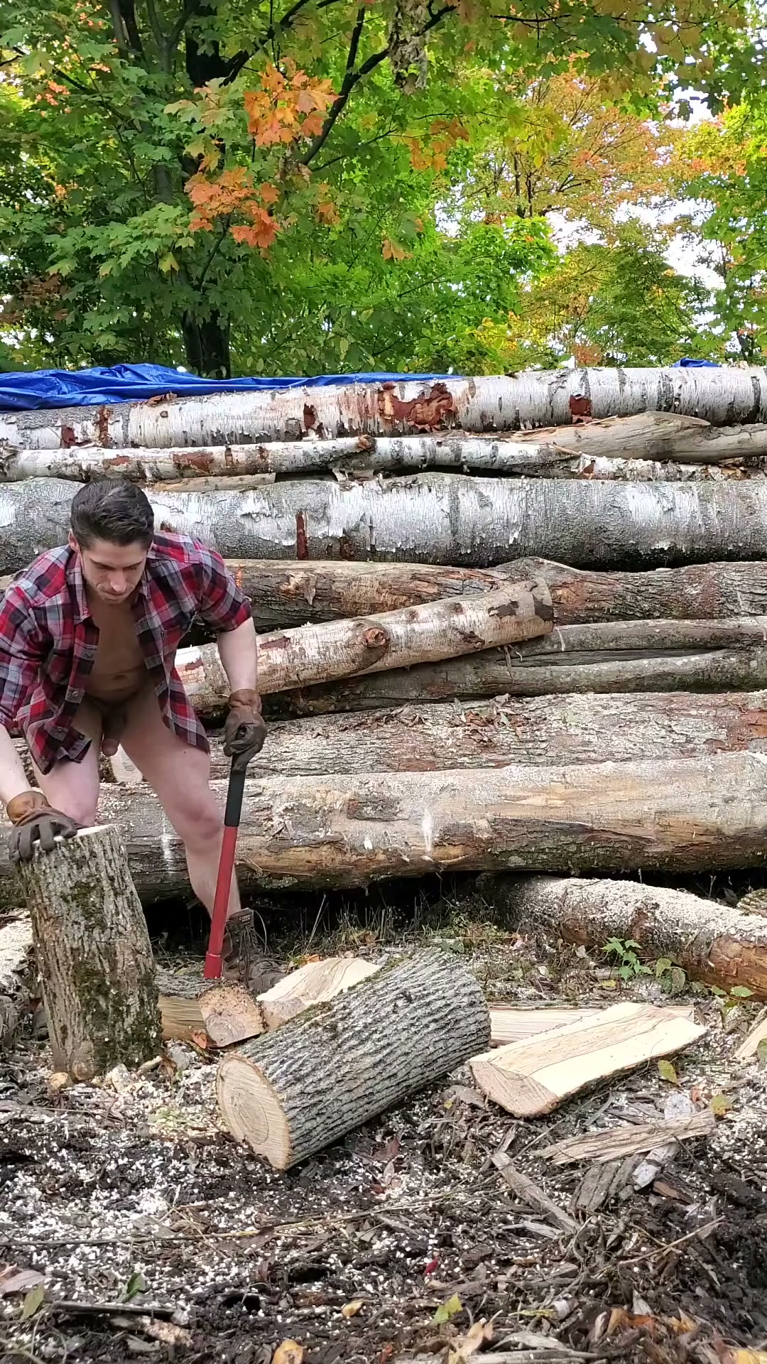 Morning wood
