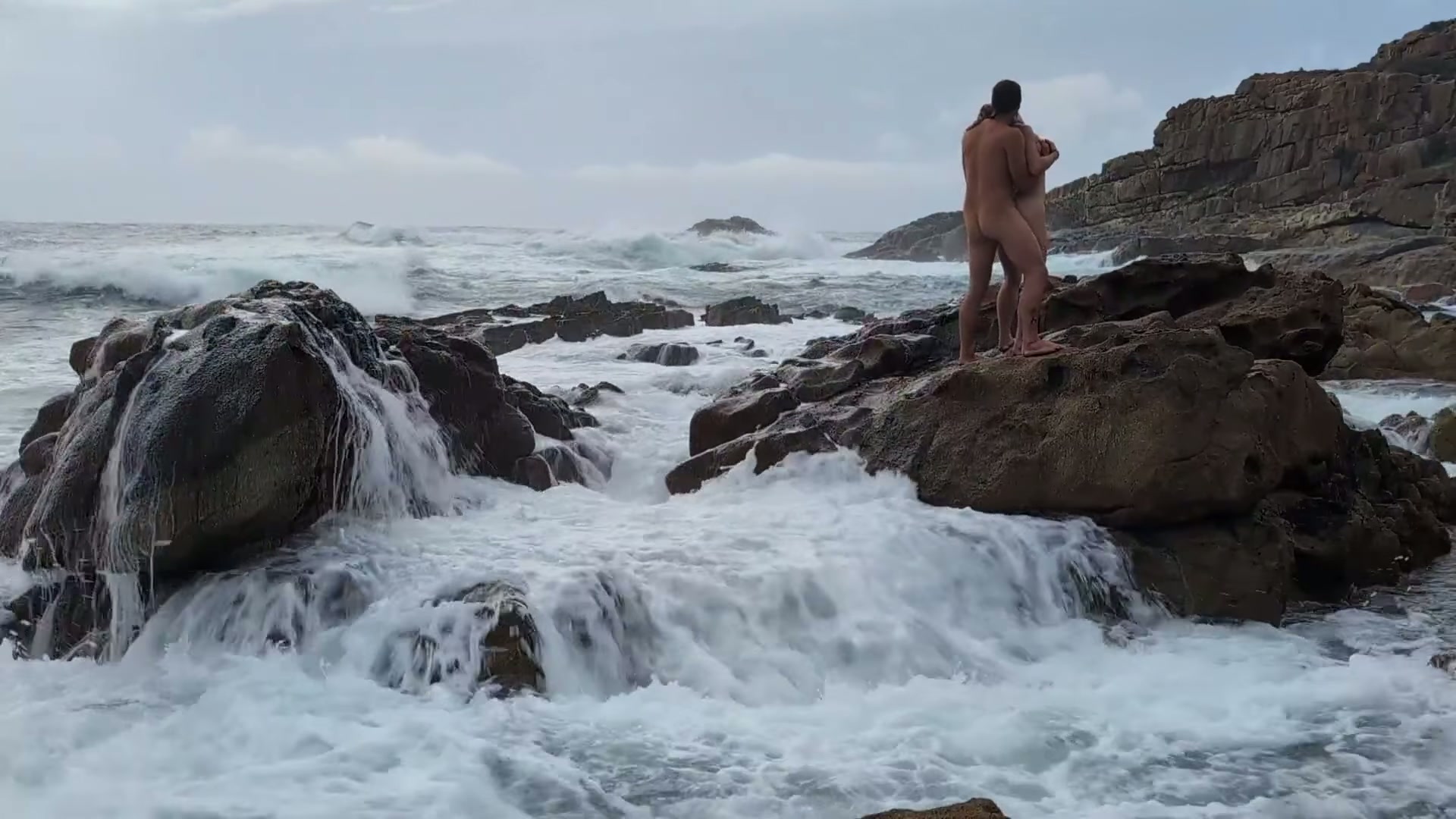 Letting the wild in