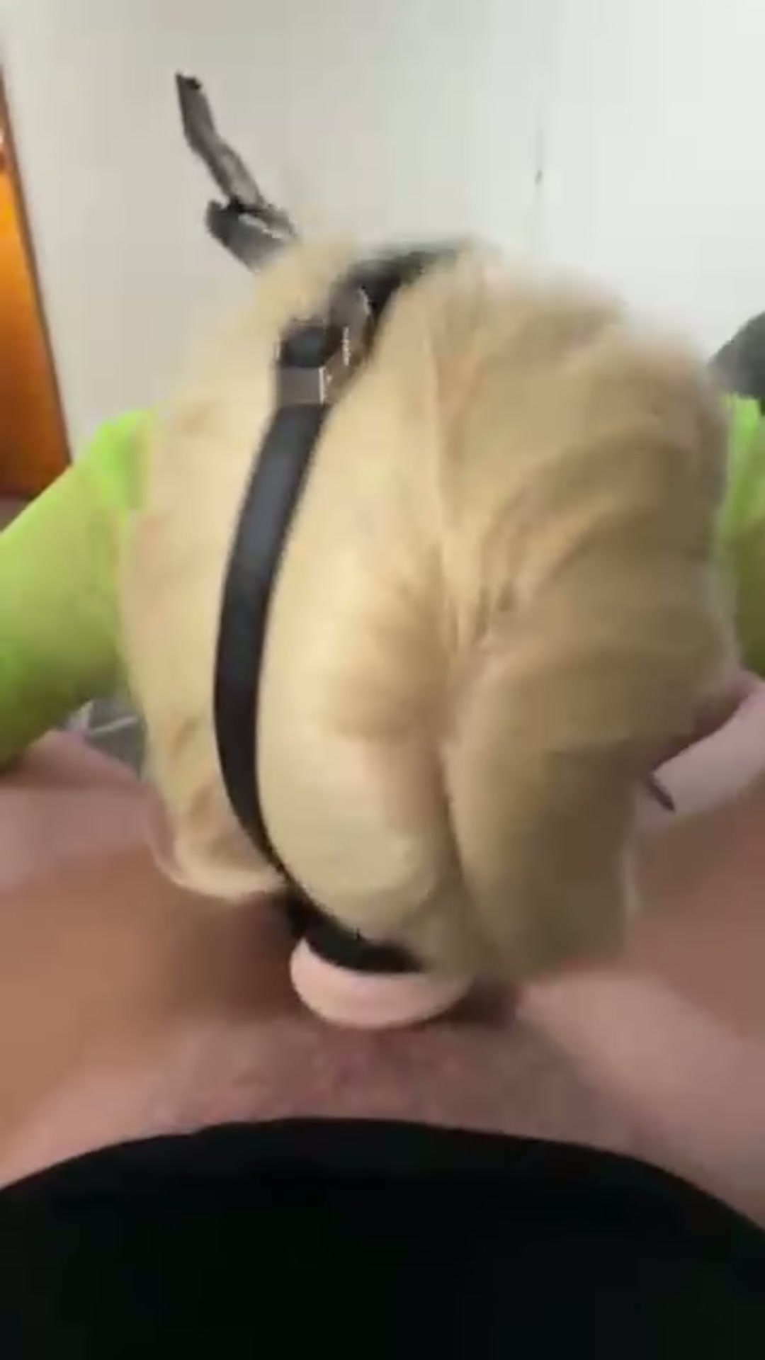 Making Mssissydoll Gag on Dick Like a Pathetic Cum Slut