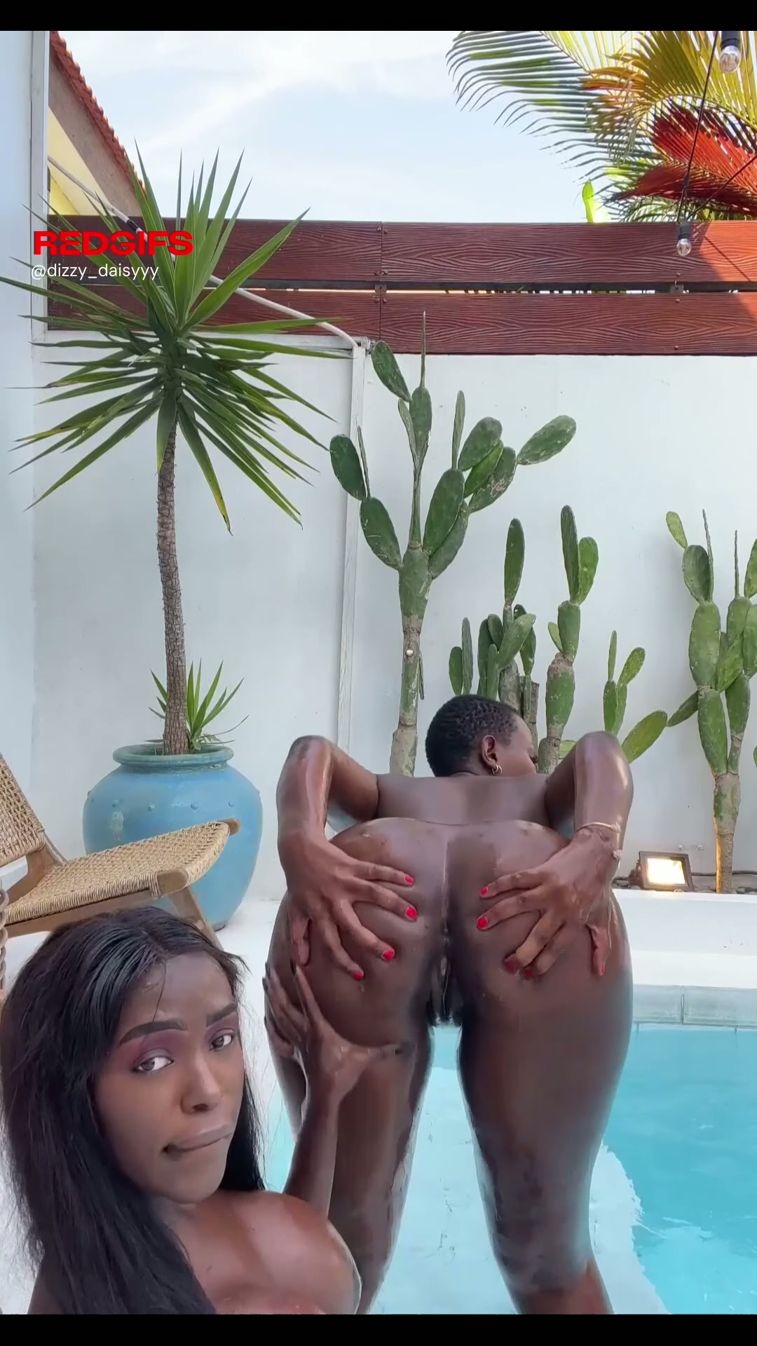 Two ebony beauties