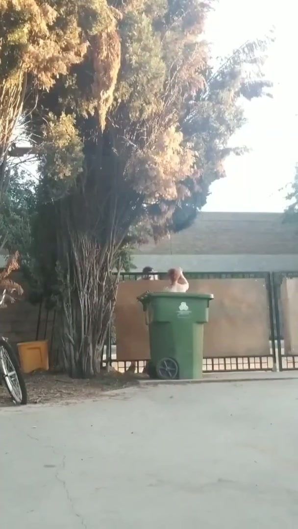 Nude Delivery at the front gate