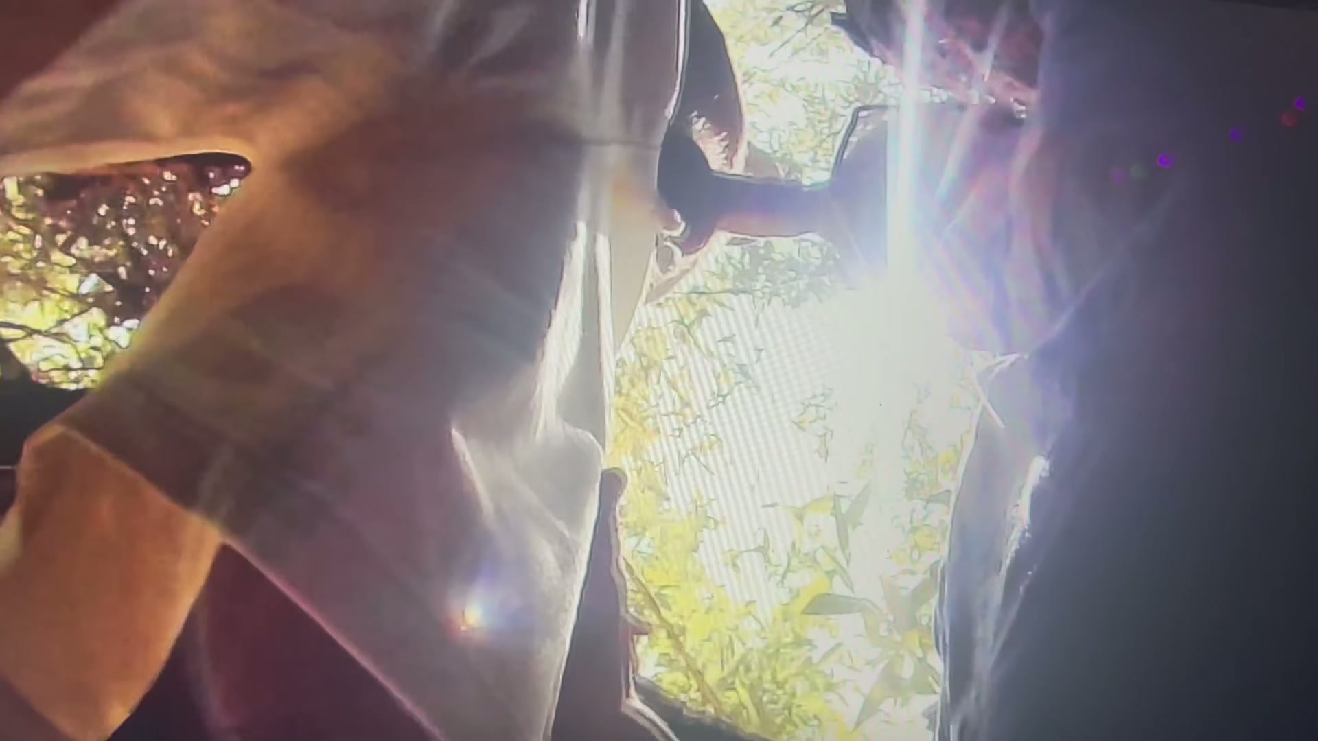 Amateur cruising GIF by plays-gay