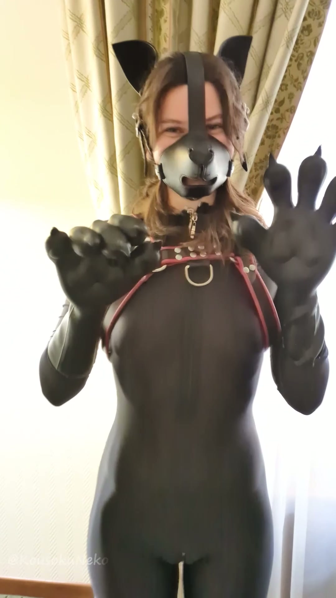 Nyan Nyan Nyan, Ni hao Nyan! 🐾