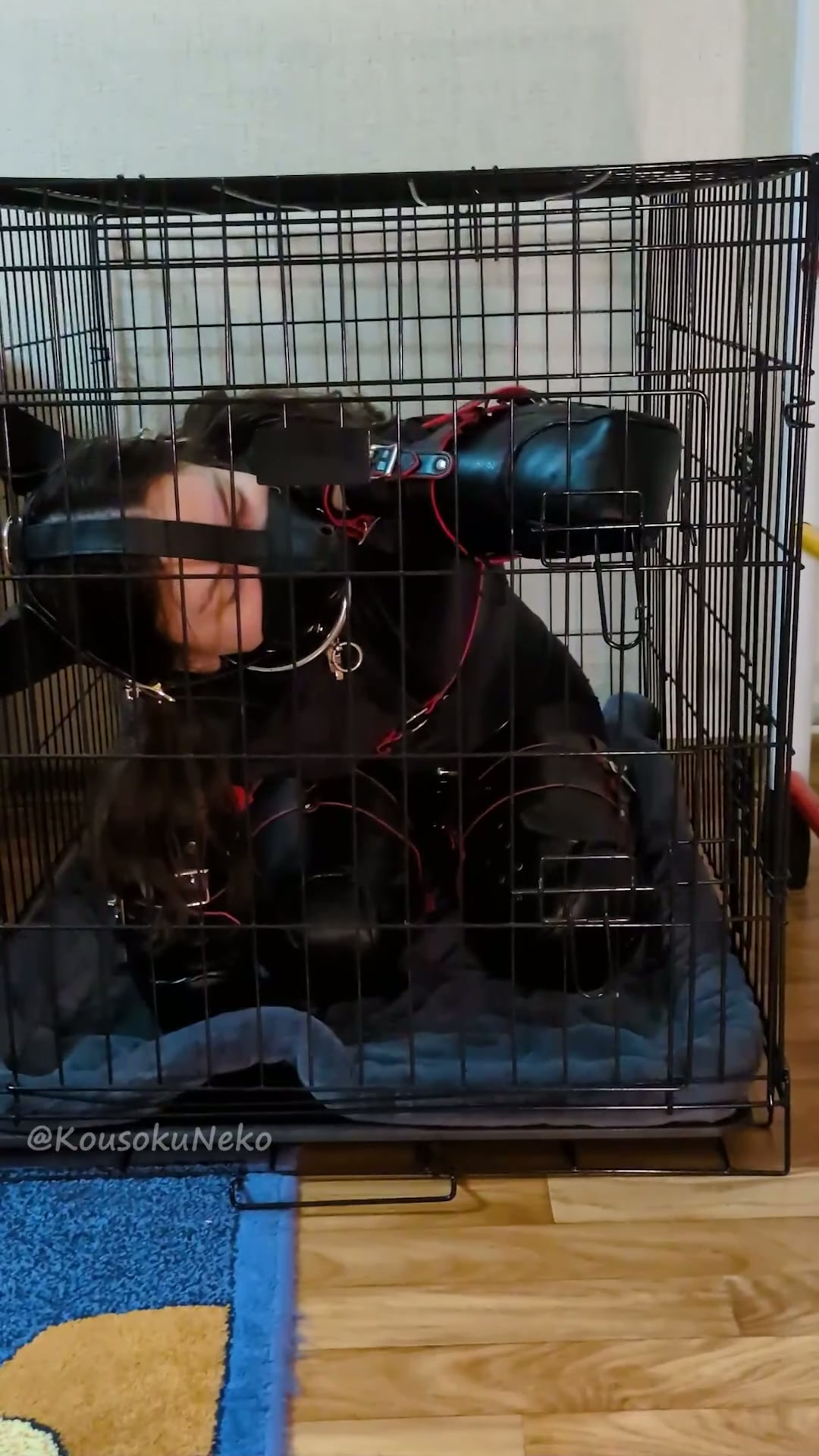 If you think some special shoes can keep me trapped in a cage, you’re very mistaken! Better keep your pets under lock and key [OC]