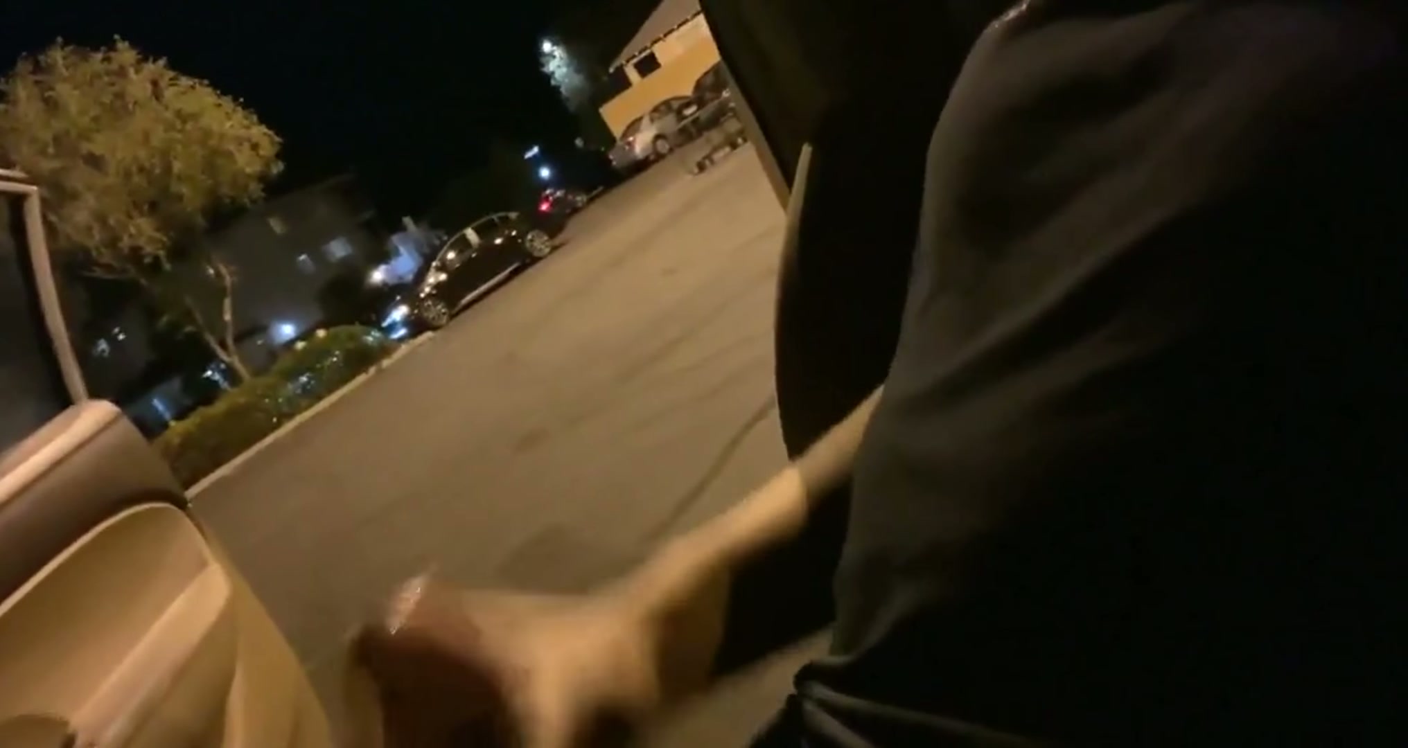 Car SLAMS on Brakes Just to WATCH This Go Down... 👀