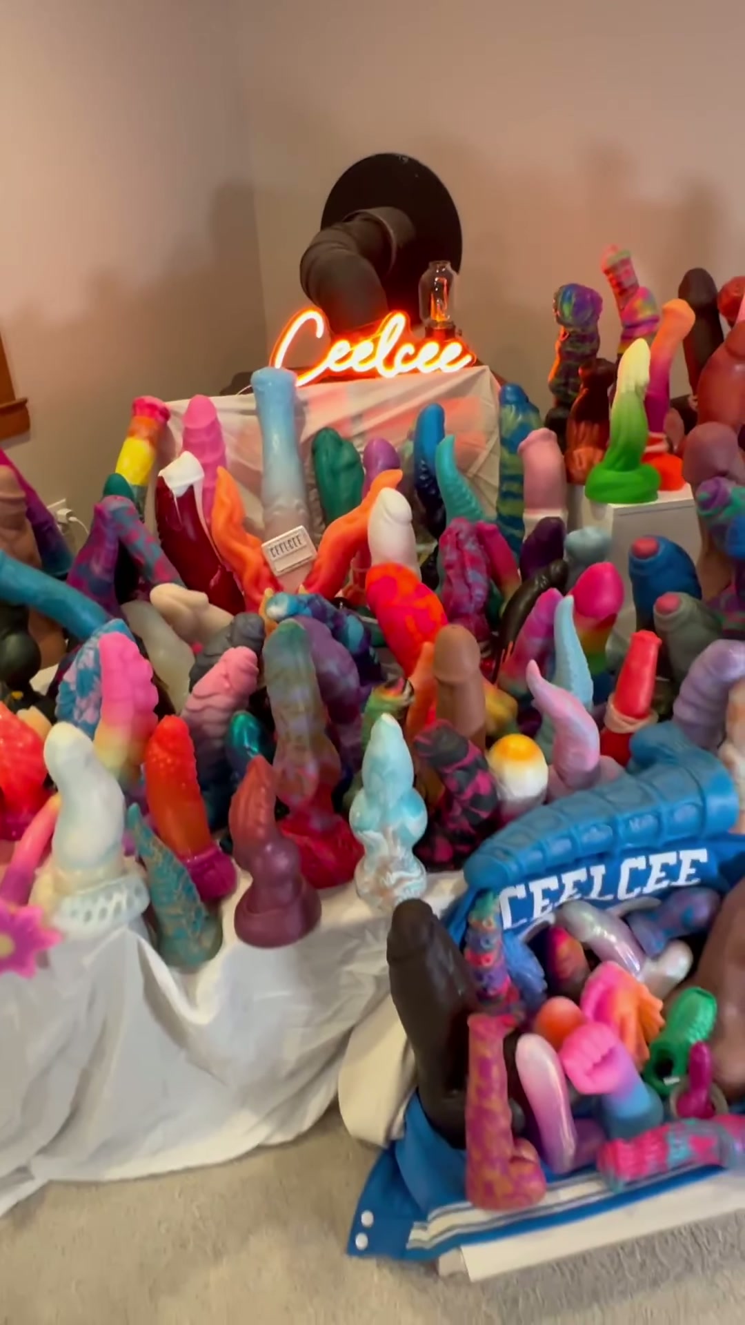 Happy New Year! Here is my updated fantasy toy collection for the end of 2025 ✨