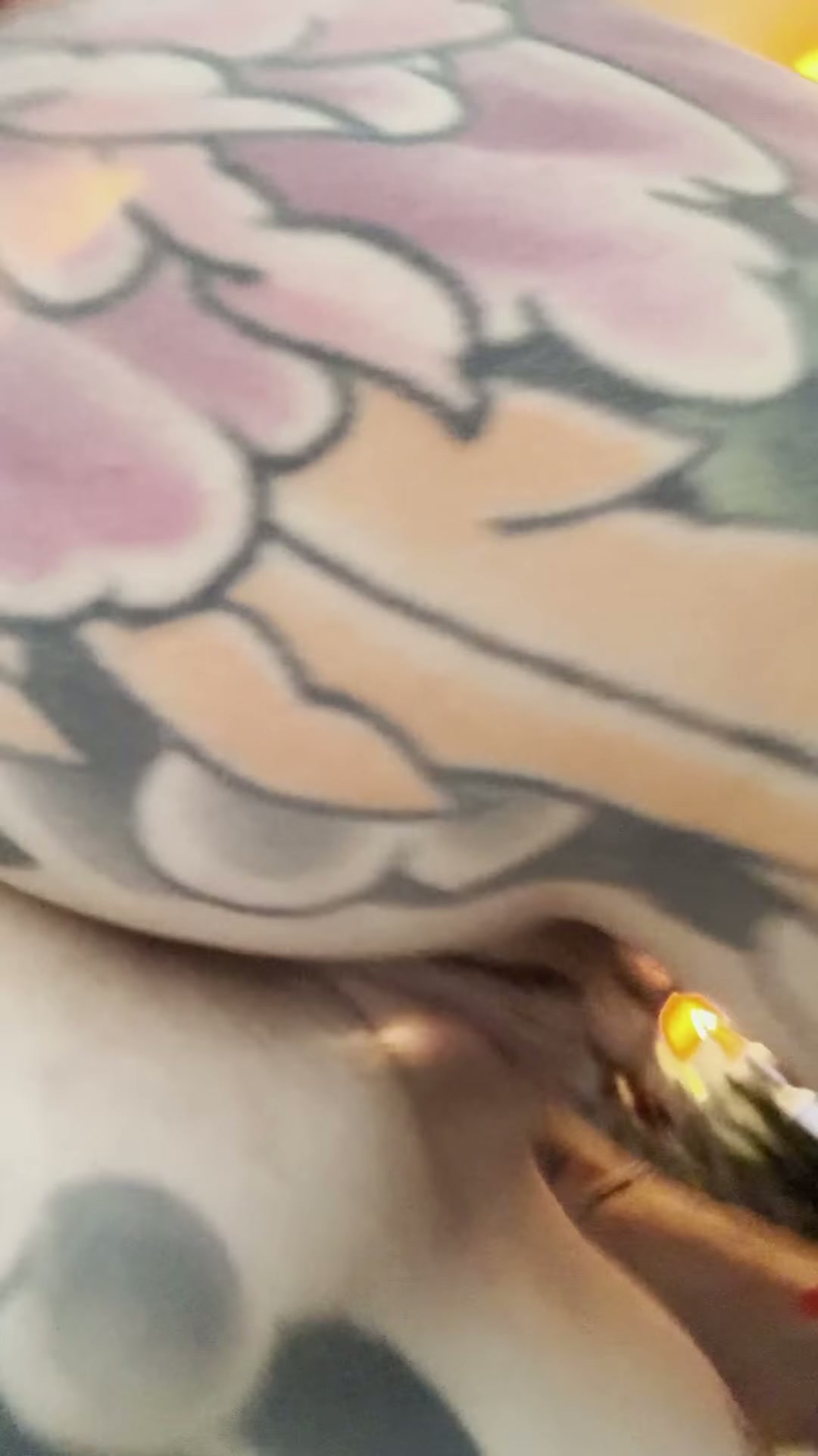 wait for the hairless kitty