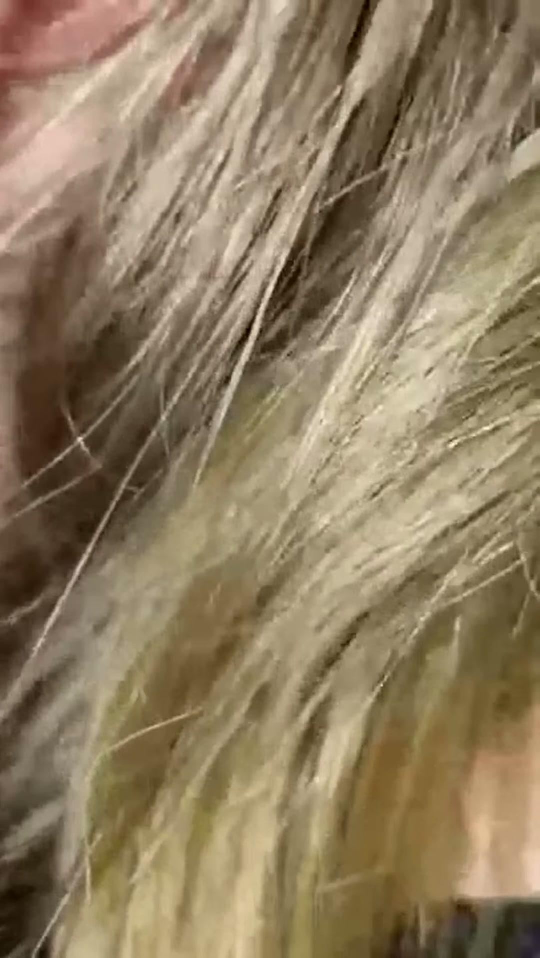She sucks her husbands cum out of her friends pussy, then shares it. 