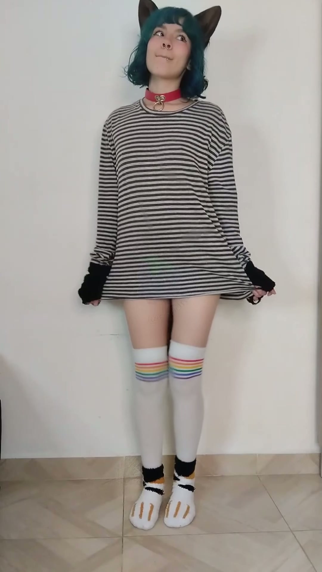 Your new kitty wants to play