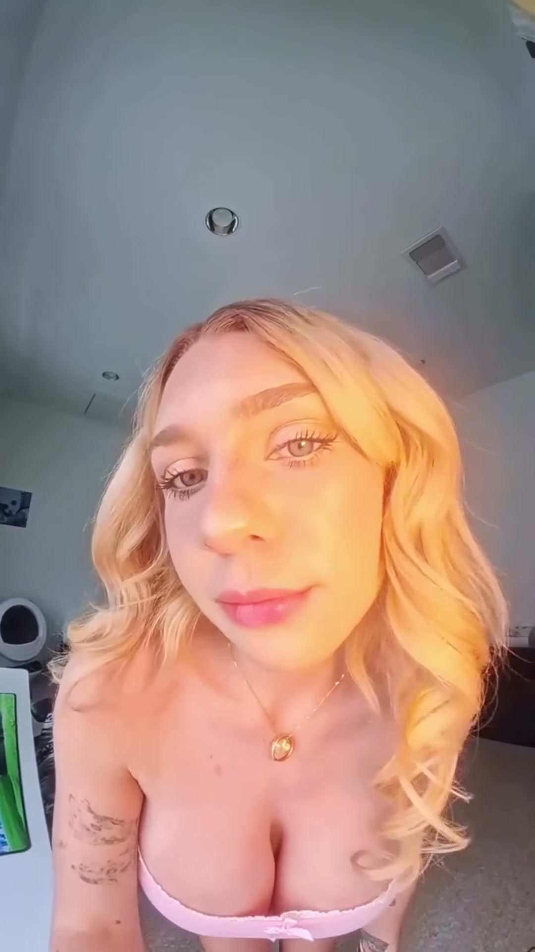 Boobies close up
