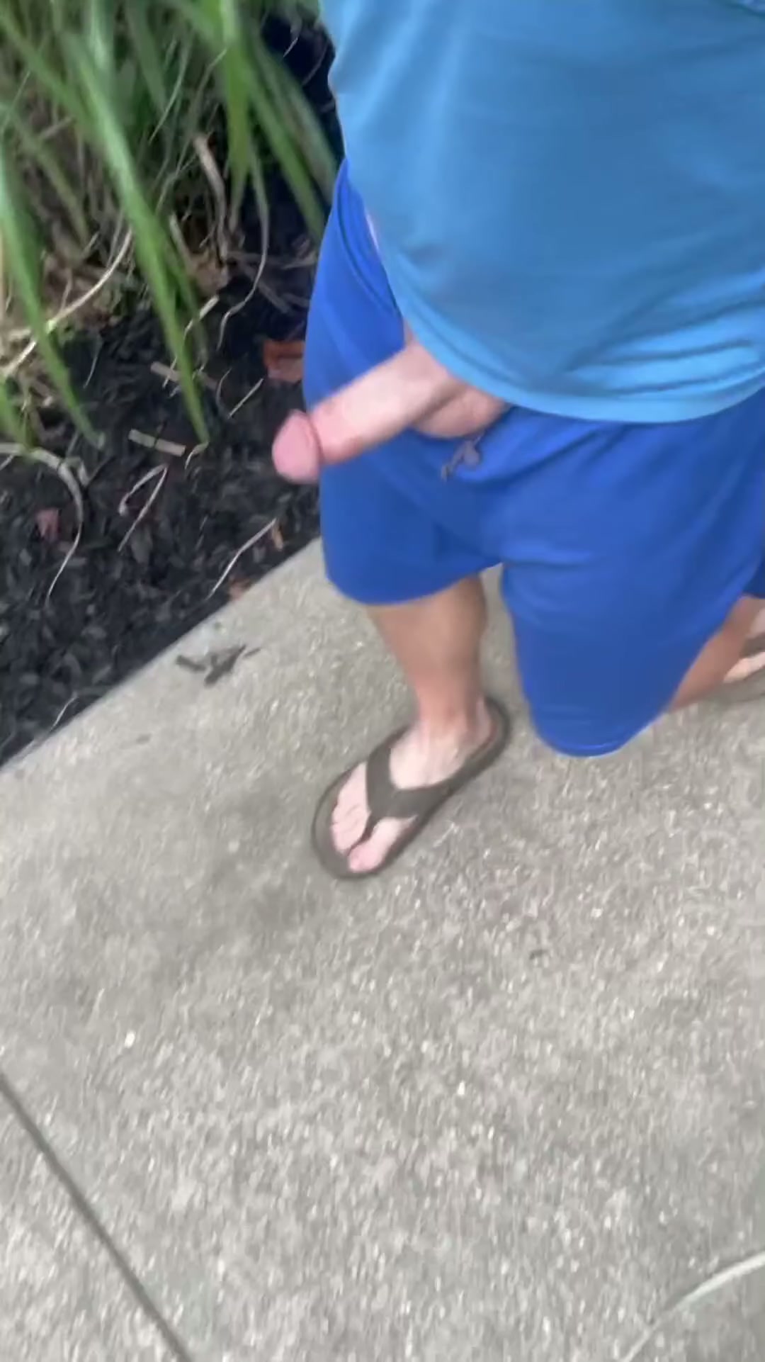 Walking the dog.