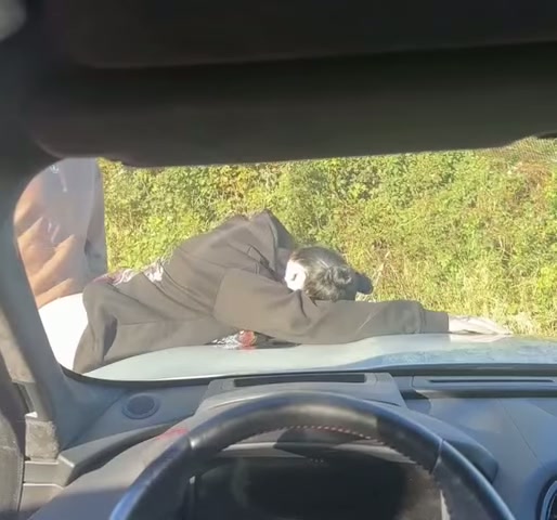 When your wife makes you wait in the car