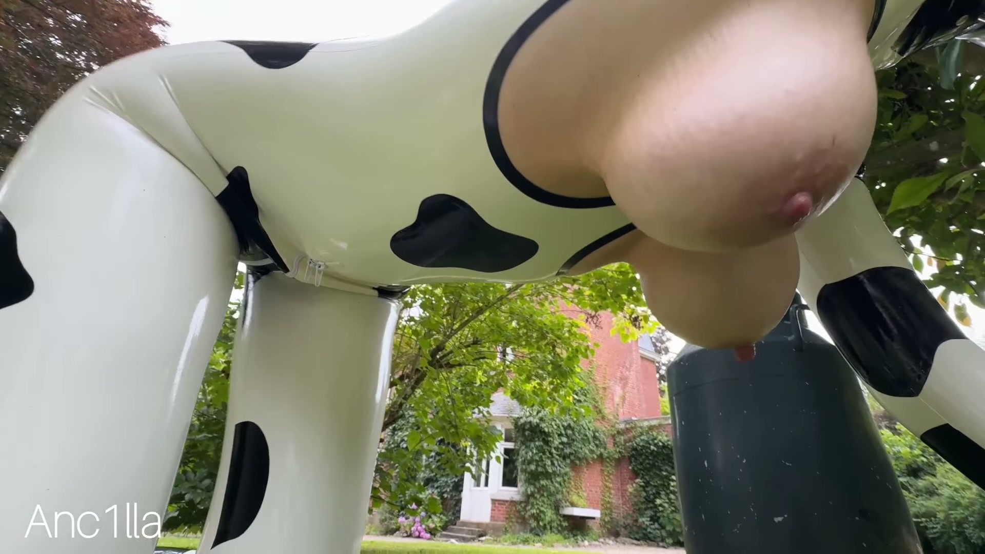 Two latex hucows getting their big tits milked