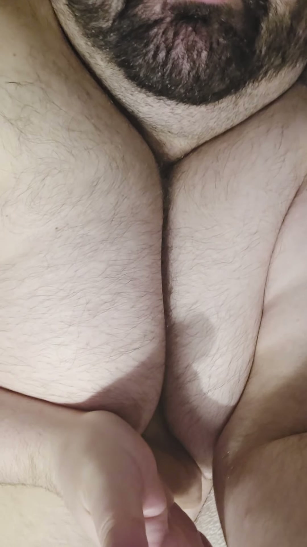 36 Chubby Bear can make your dick disappear...