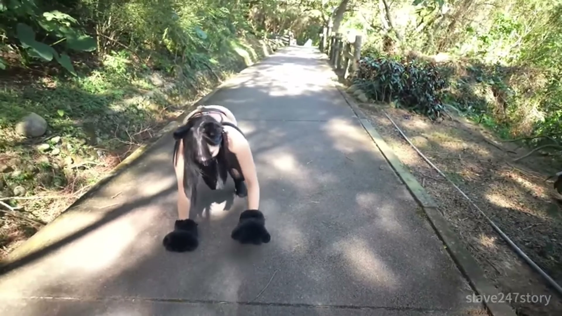 Training outside… crawling like a pup 🐾 [OC]