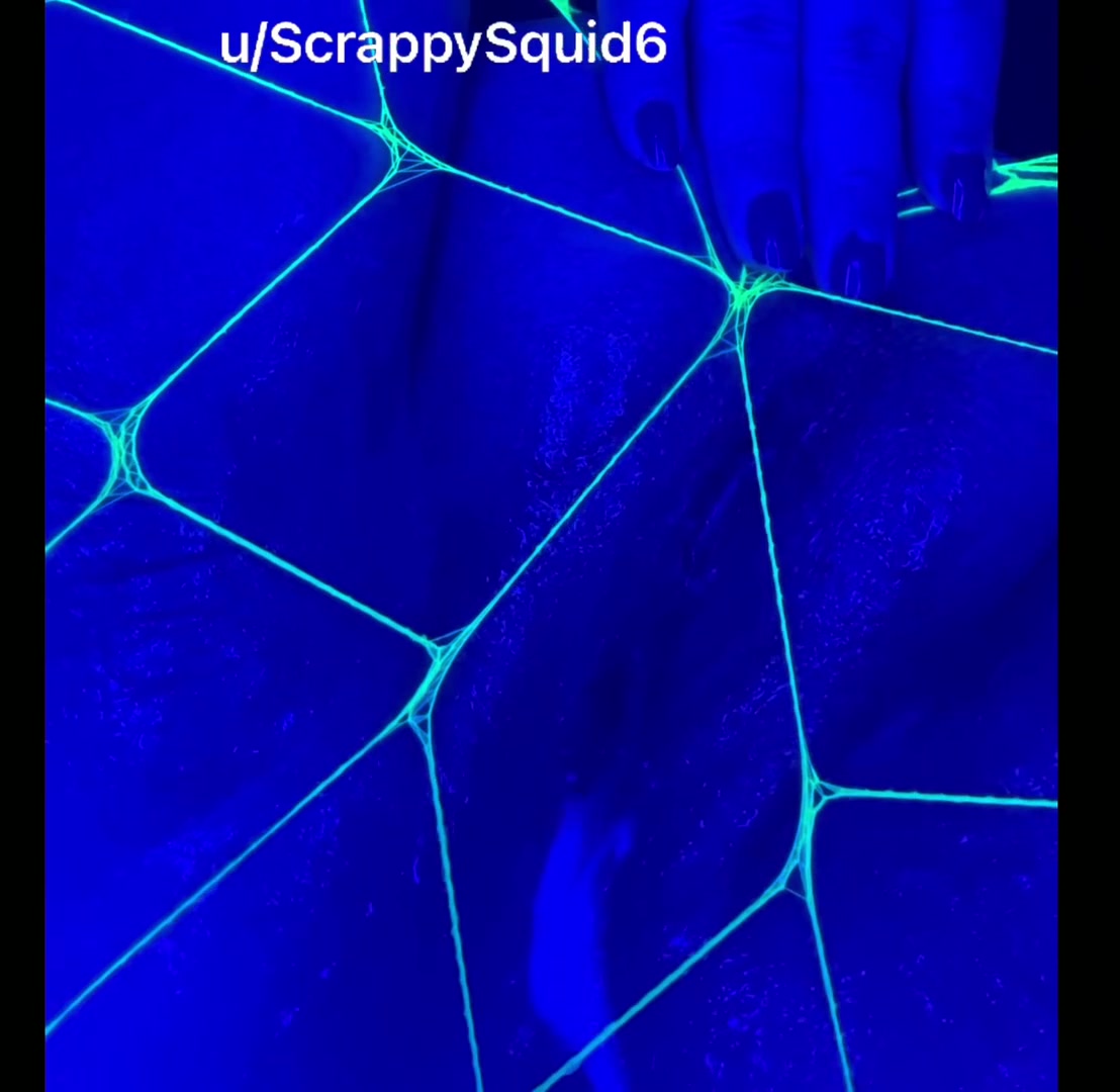 Neon Dreams