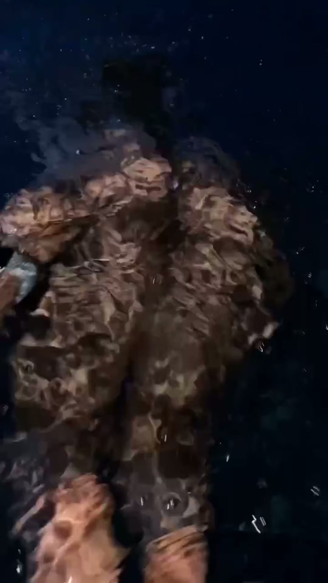 wanna play mermaids?