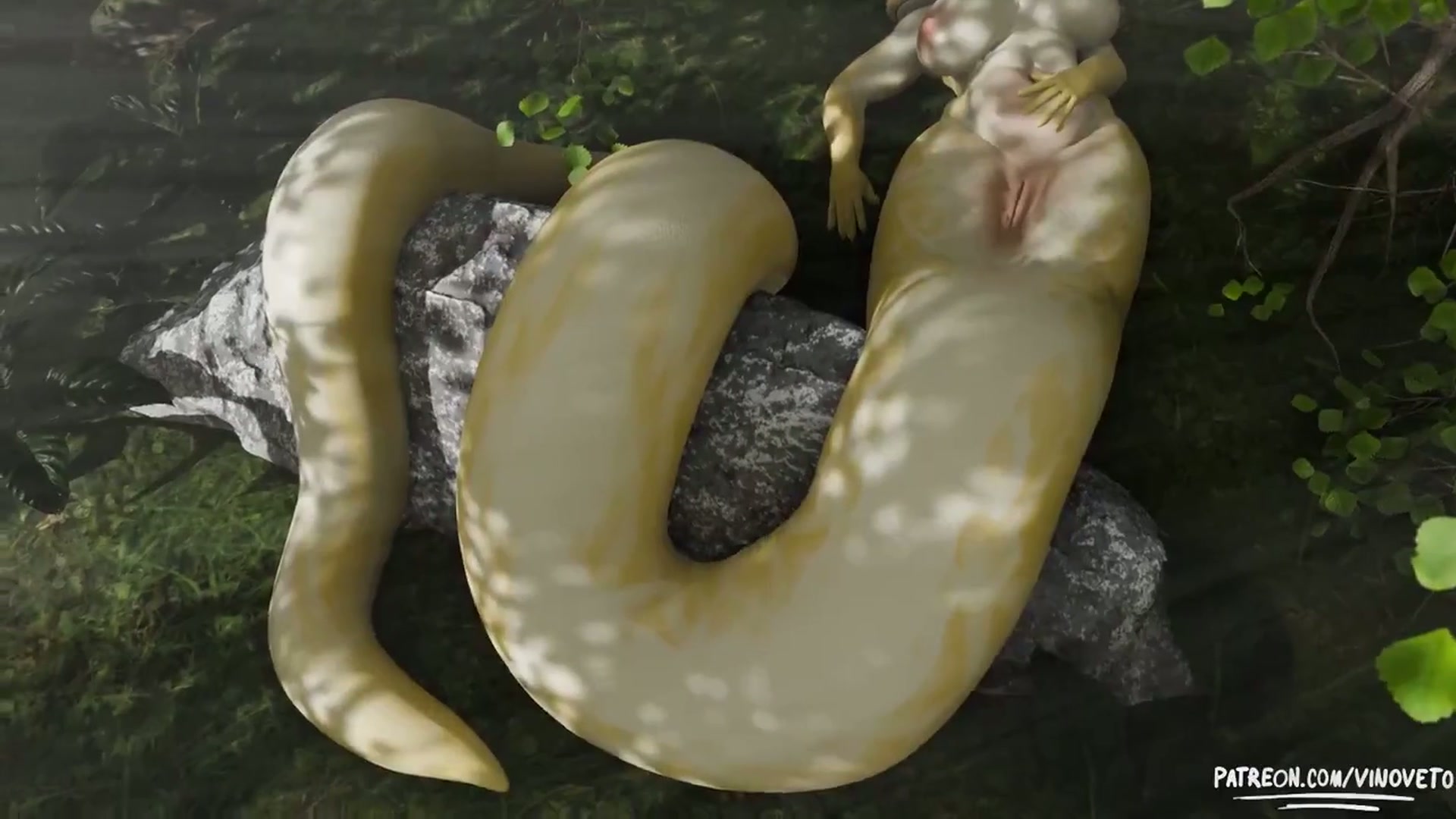 {Video} Snake Meat (by @vinoveto on Twitter) [Female snake pred, small prey, digestion]