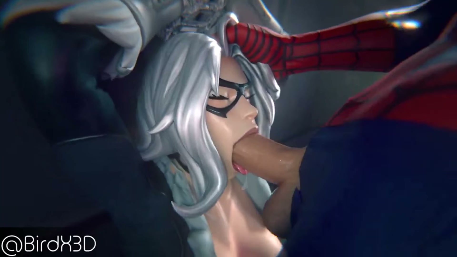Black Cat vs. Spidey (BirdX3D) [Marvel]