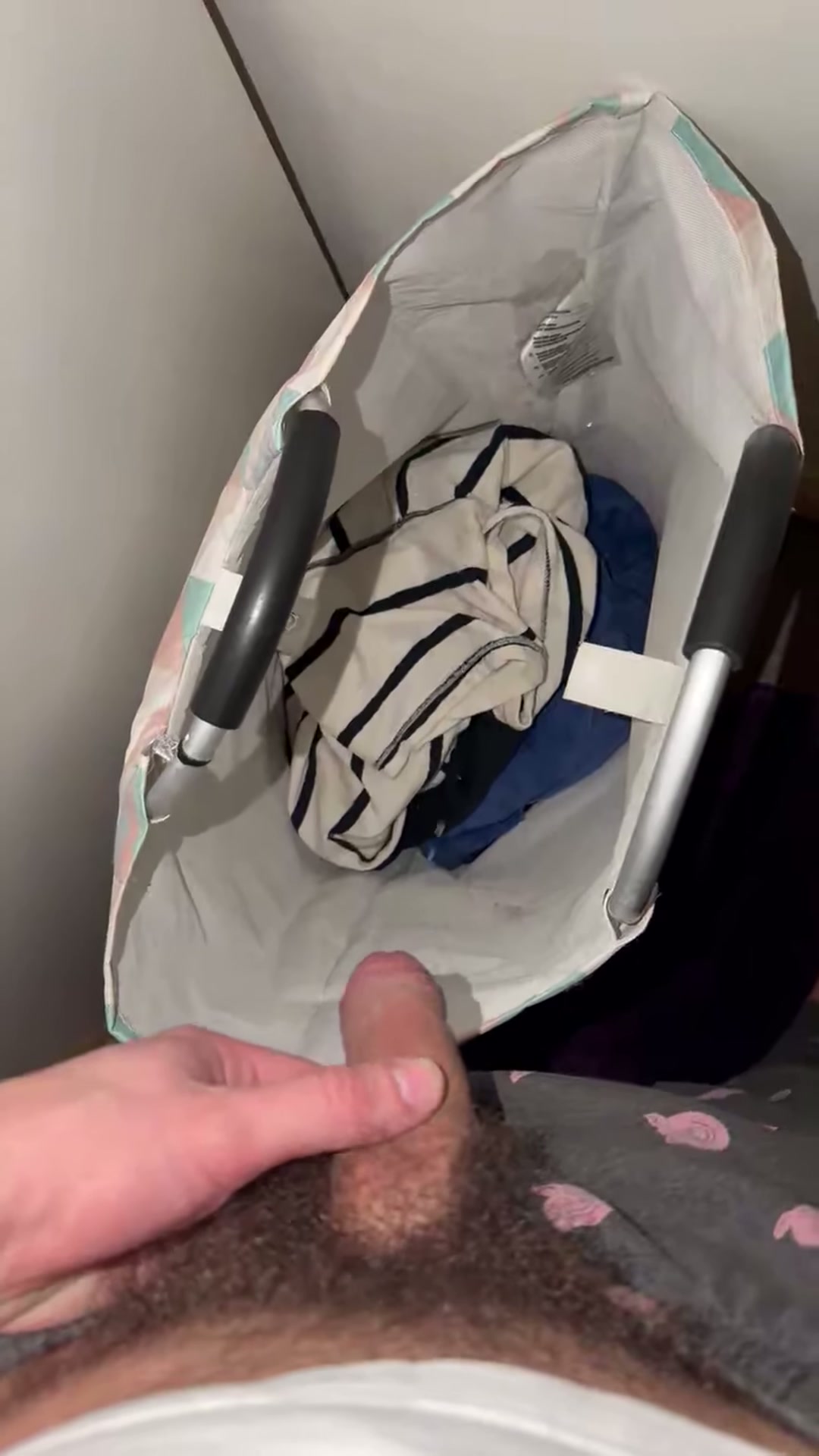 pissing in my laundry basket because it wasn’t dirty enough